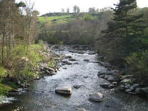 B�s - Saint Remy De Chaudes Aigues - p�che � la mouche