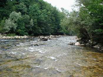 Guiers - St Beron - p�che � la mouche