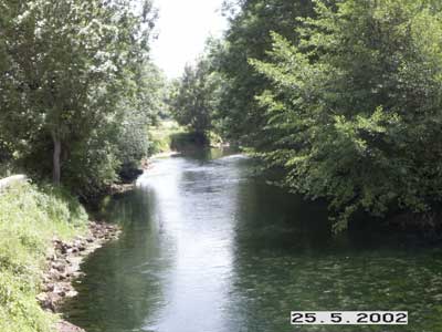 Seine - Vix - p�che � la mouche