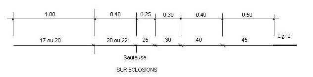 bas-de-ligne-noyee-eclosion.jpg bas-de-ligne-noyee-eclosion.jpg