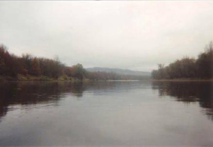Le Vieux Rhin en automne