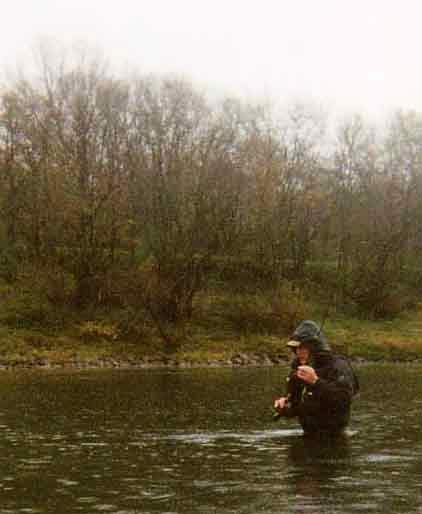 Pêche à la mouche en automne