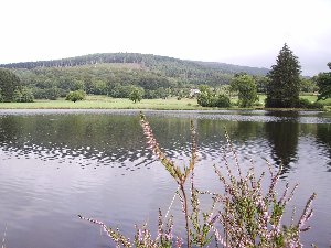  - Chateau Chinon - p�che � la mouche