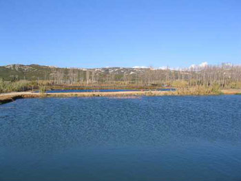 - D21B entre Saint Chamas et Berre l