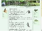 Pêche à la mouche - Gobages.com Pêche à la mouche - Gobages.com