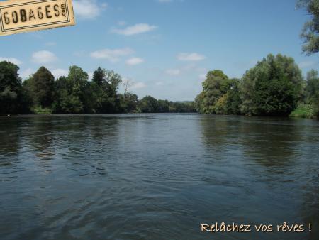 fond ecran mouche 1130