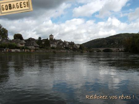 fond ecran mouche 1151