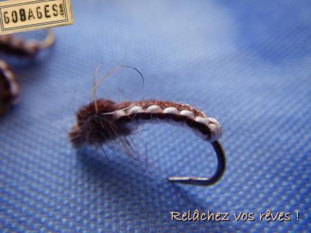 fond ecran mouche 1153
