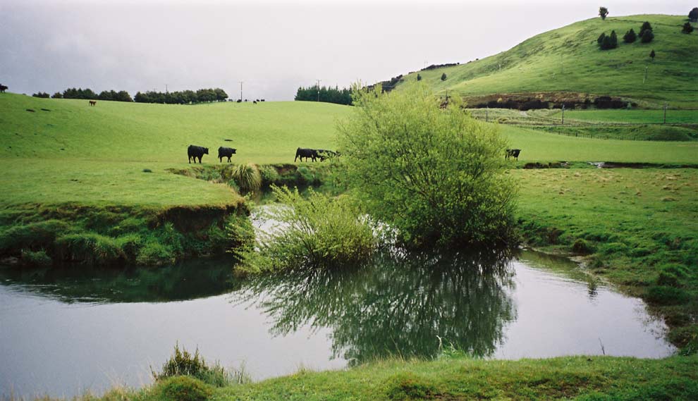 hautapu river hautapu river
