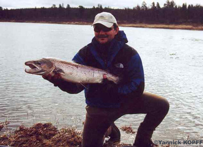 saumon3