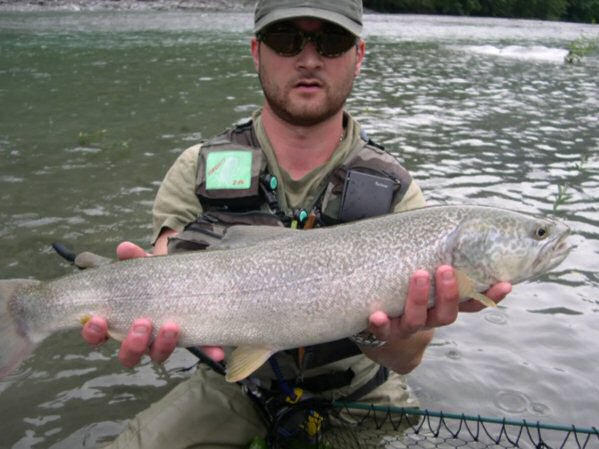 Truite Marmorata de 72 cm - 12 centièmes - Baca, Slovénie