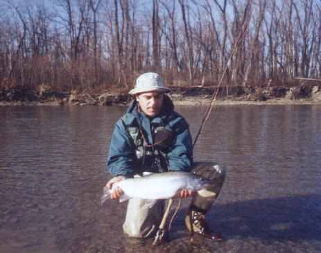 Pêche à la mouche Steelhead
