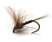 sitemap