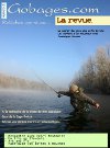 web magasine mouche gratuit