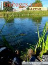 web magasine mouche gratuit