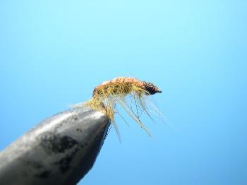 Montage de mouche