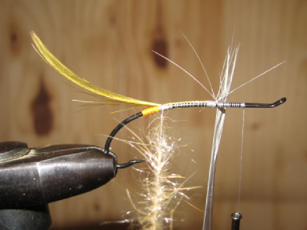 Montage de mouche