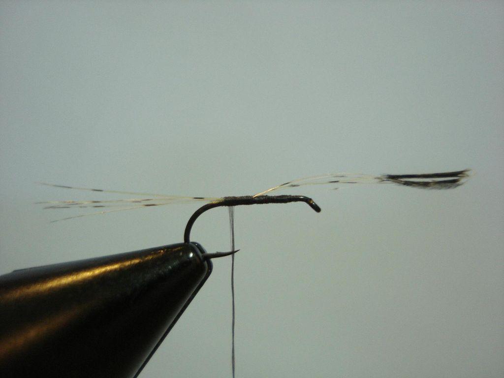La cultivation des vers dans les conditions domestiques pour la pêche en hiver