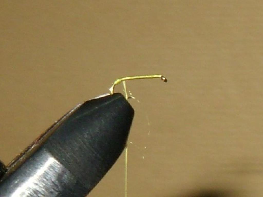 Montage de mouche