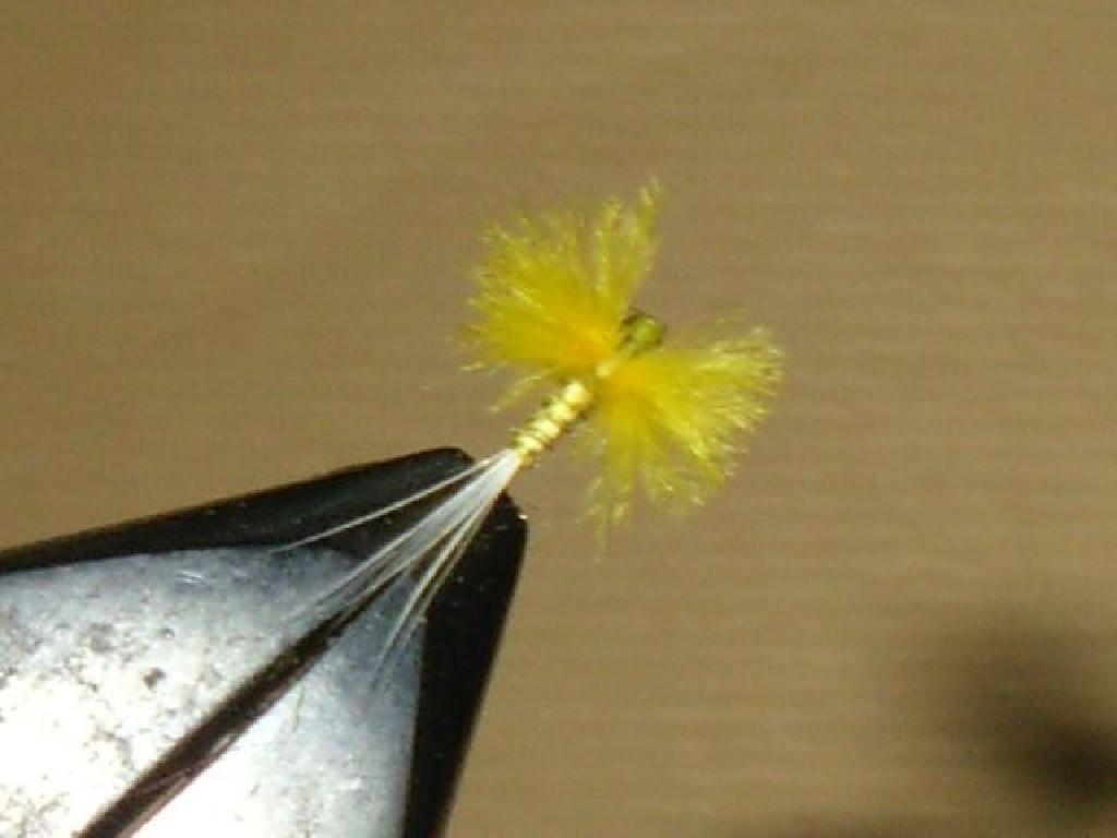 Montage de mouche