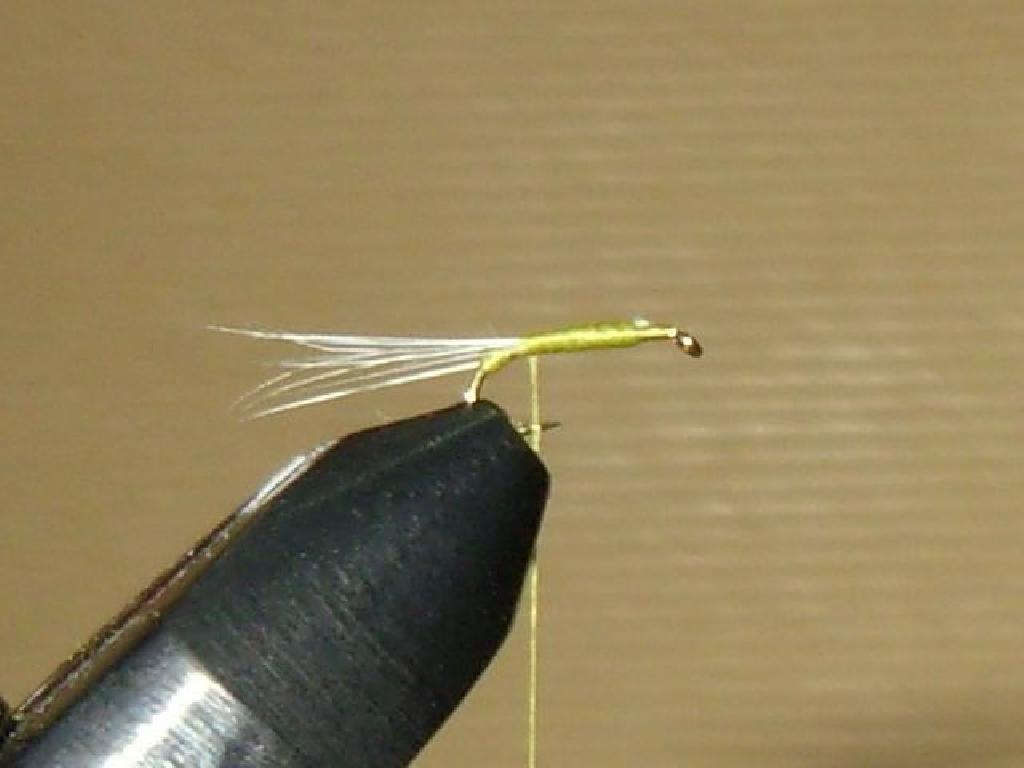 Montage de mouche