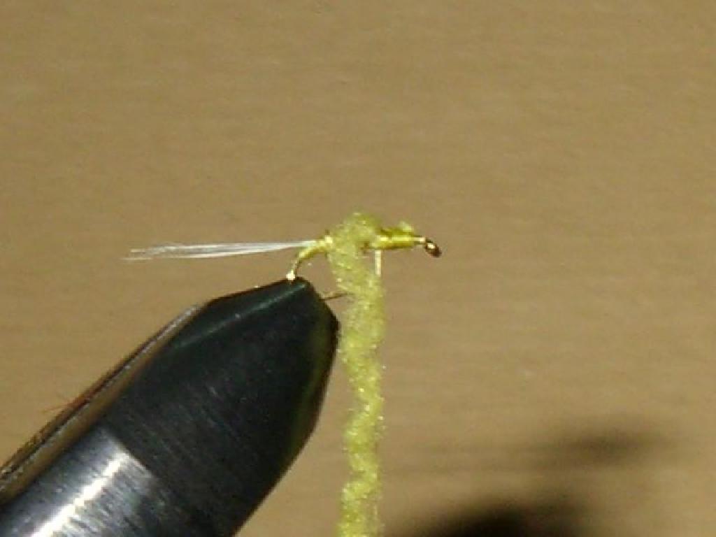 Montage de mouche