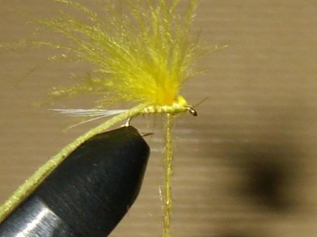 Montage de mouche