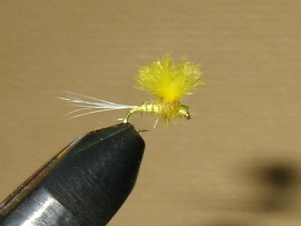 Montage de mouche