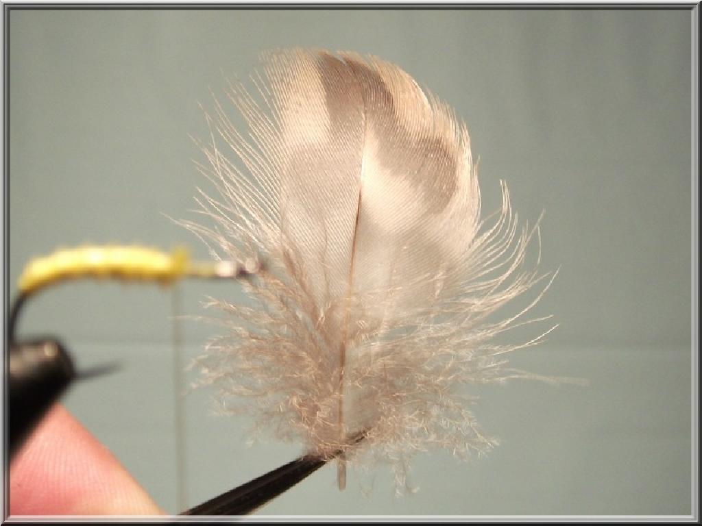 Montage de mouche