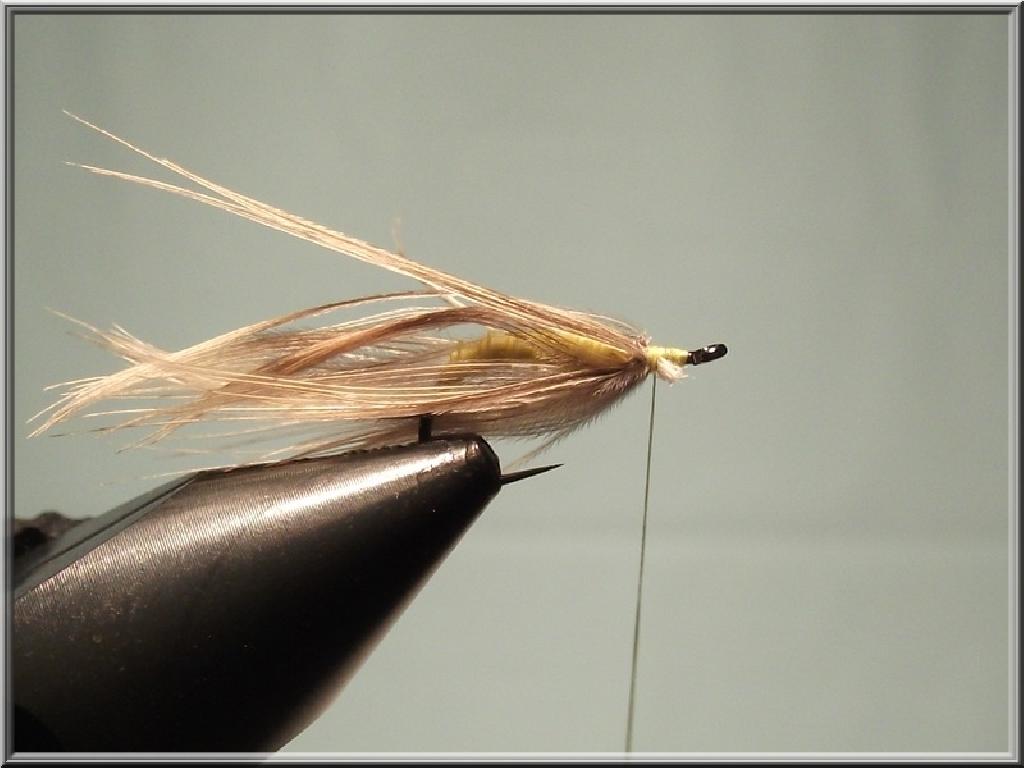 Montage de mouche