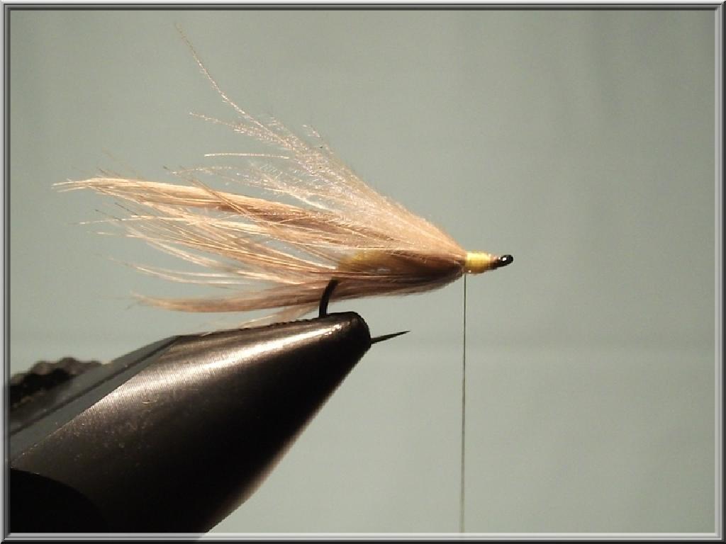 Montage de mouche