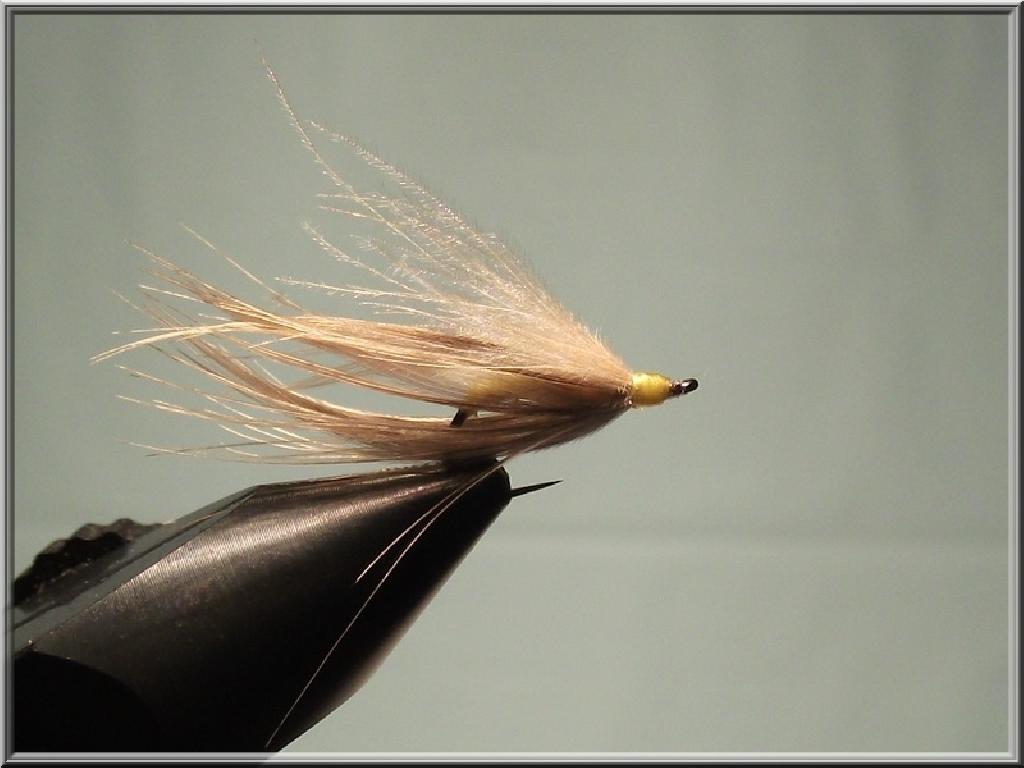 Montage de mouche